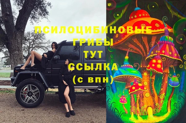 гидра Верхний Тагил
