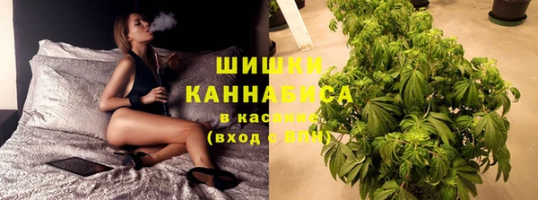 гидра Верхний Тагил