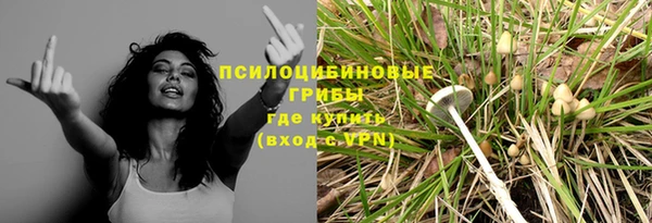 гидра Верхний Тагил